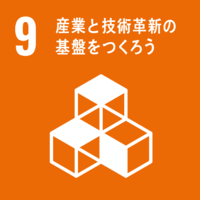 SDGs No9