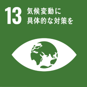 SDGs No13
